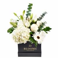 Read New York Blooms Reviews